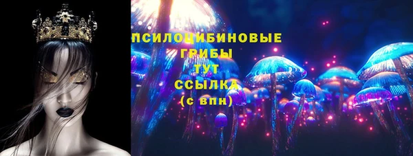 амф Костерёво