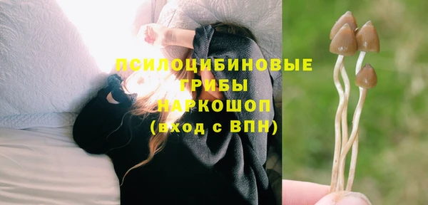 бошки Кукмор