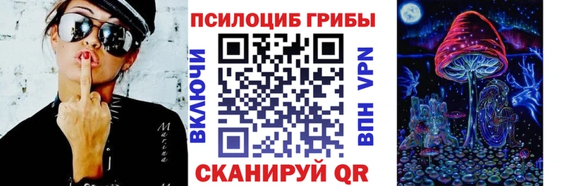 Галлюциногенные грибы Cubensis  Тейково 