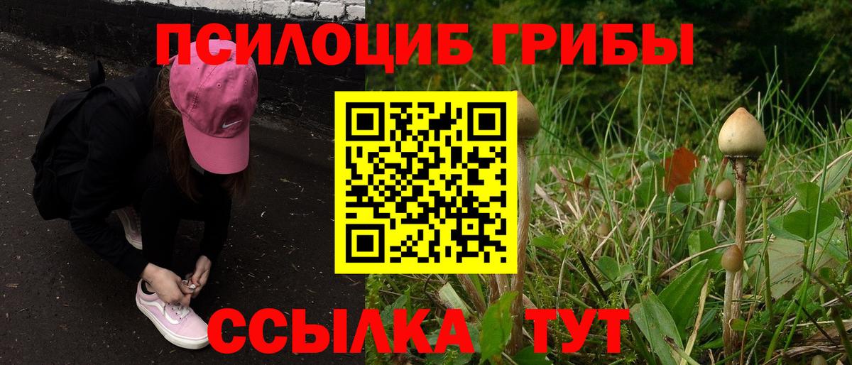 Тейково  Галлюциногенные грибы Magic Shrooms  Вход с VPN 